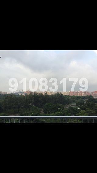 Park Green (D19), Condominium #76307062